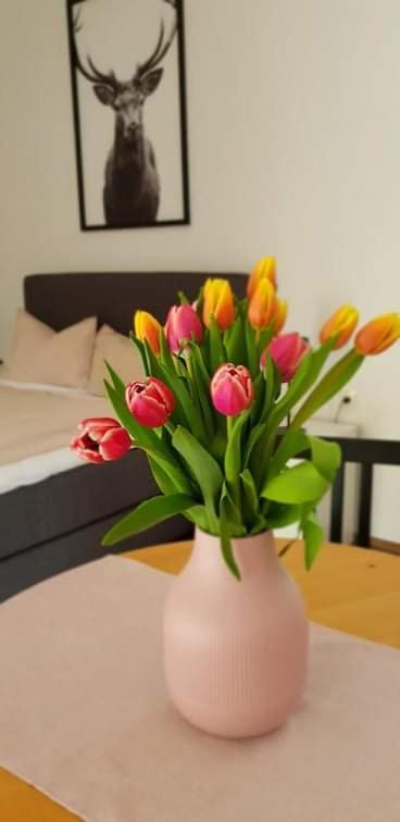 Kozma Apartments Peterlewand Gerlitzen Ossiachersee بودينسدورف المظهر الخارجي الصورة